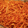 Cordyceps