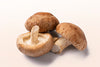 Shiitake